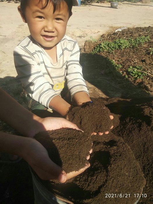 Калифорния кизил ёмгир чувалчанглари