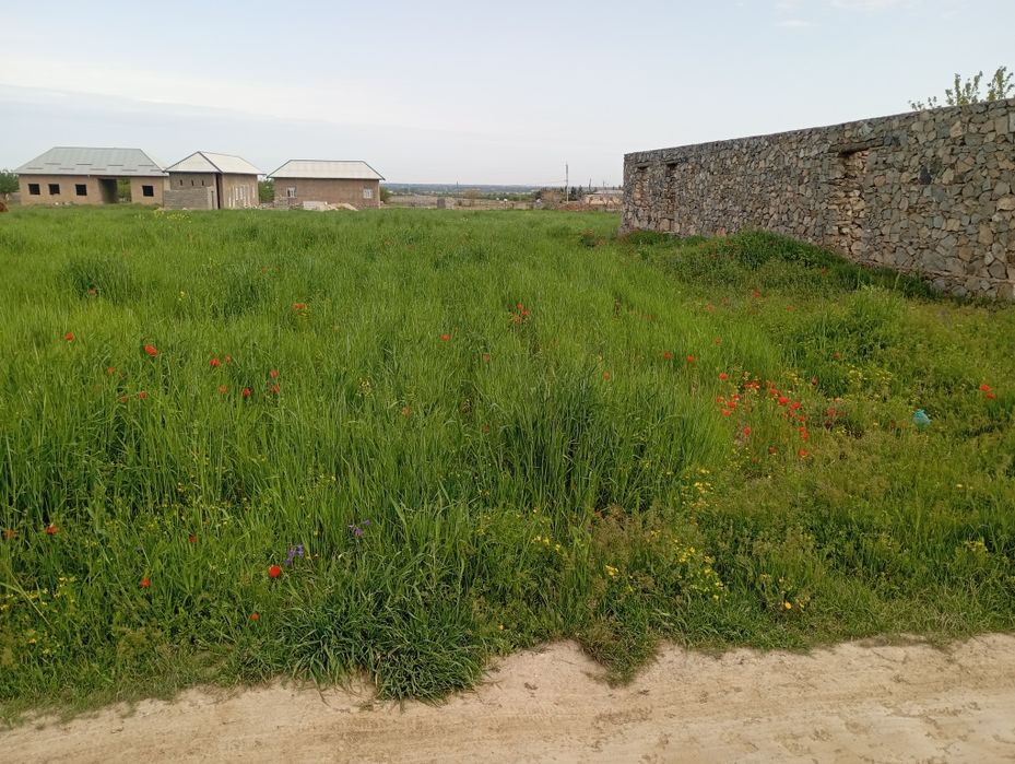 Участка сотилади 28сотих