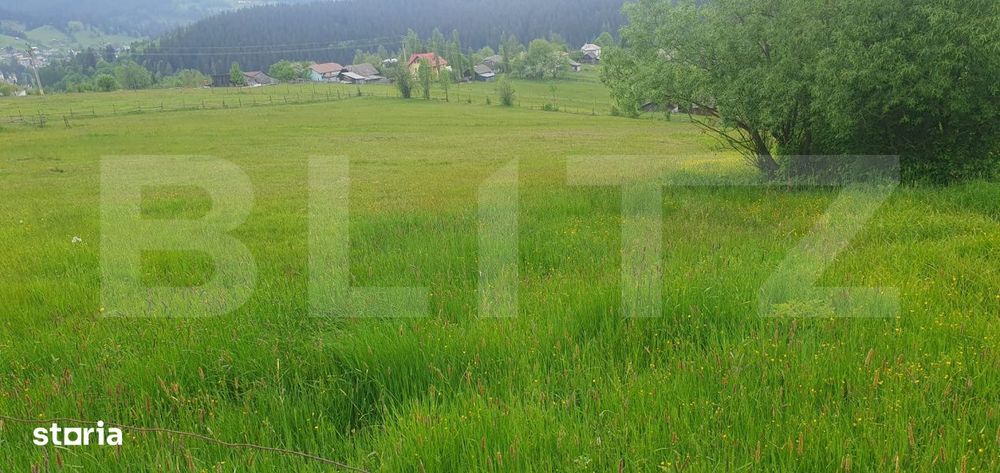 Teren intravilan, 9964 mp, zona Vatra Dornei