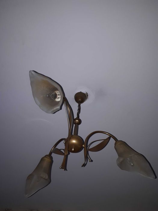 Люстра трехрожковая.