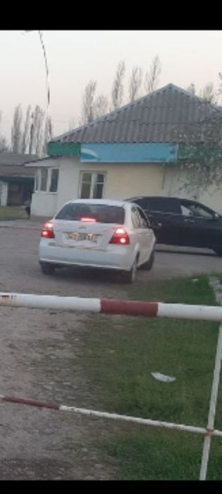 Заправка Туй тепа 26 соток