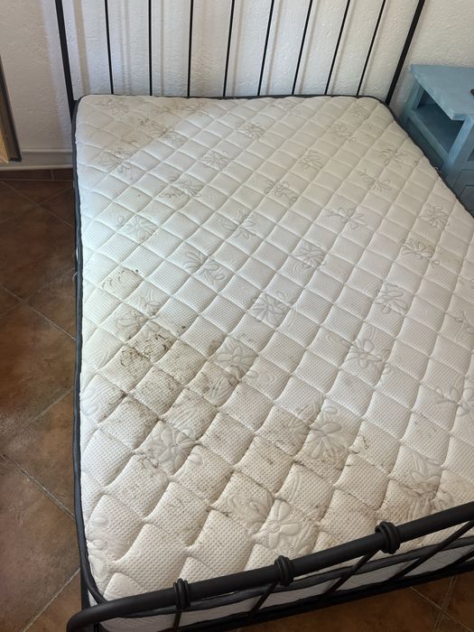 Inchiriez Aspirator profesional Puzzi 10 in 1