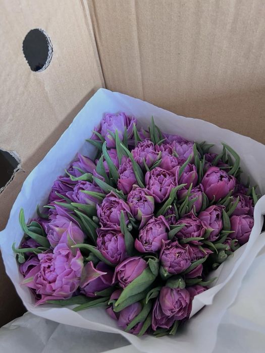 Акция на тюльпаны