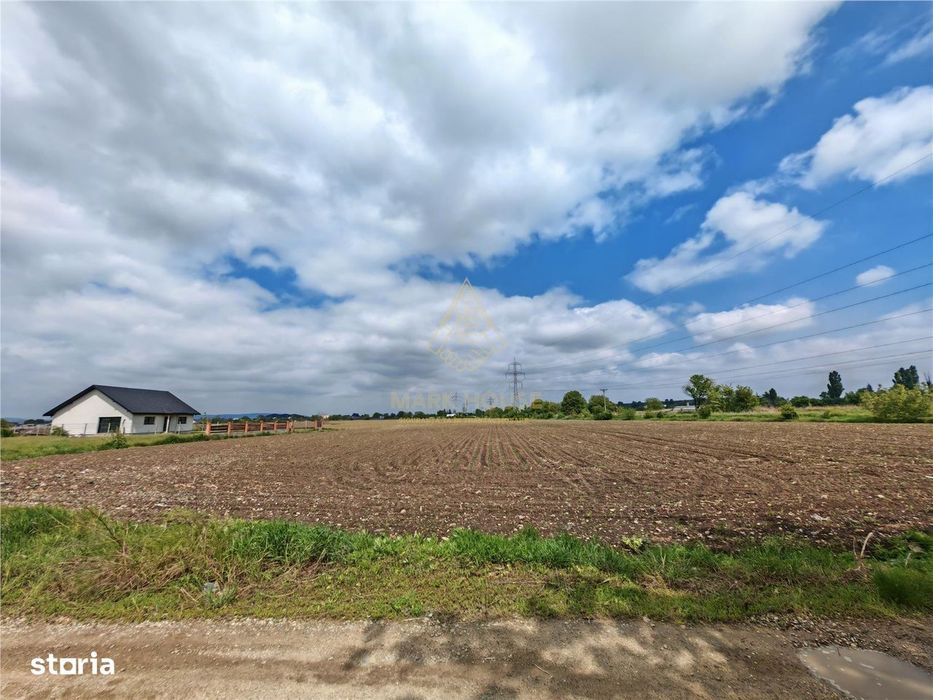 Teren intravilan 1800 mp, de vanzare, Serbanesti