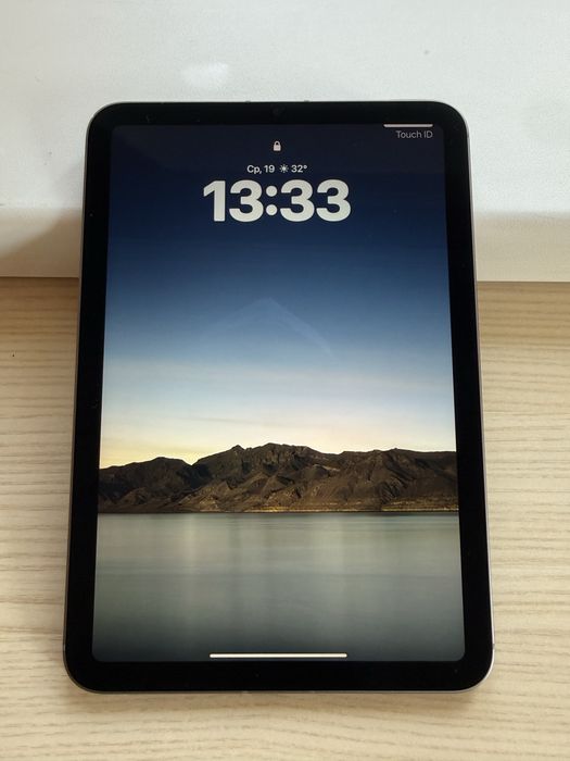 iPad mini A17 Pro 128GB Cellular 5G Space Gray + PITAKA