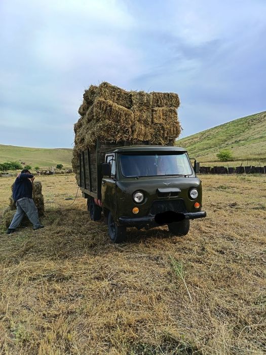 UAZ- buxanka 3303