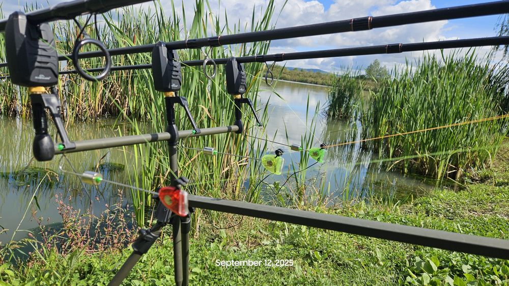 Bete pescuit la crap