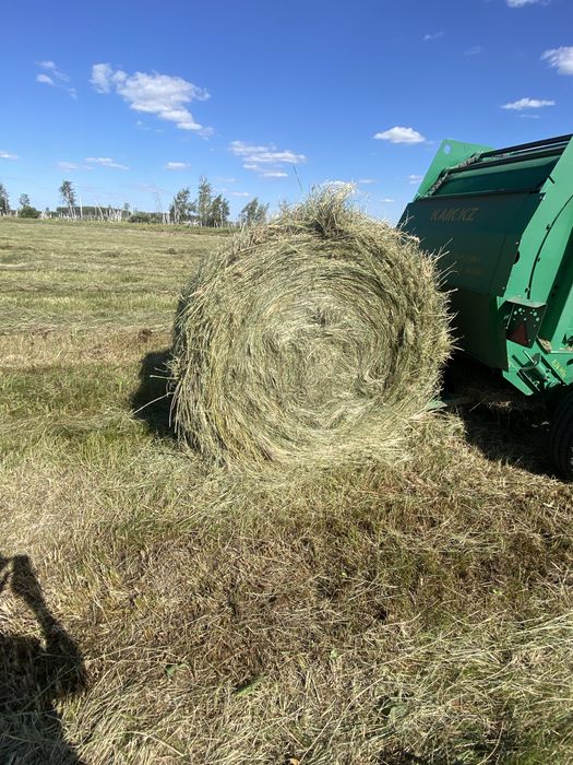 Продам сено луговое