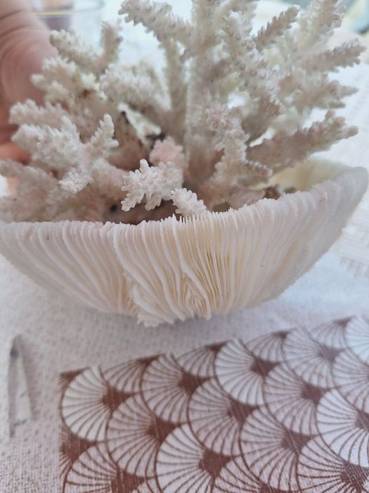 Морски артикули декорация