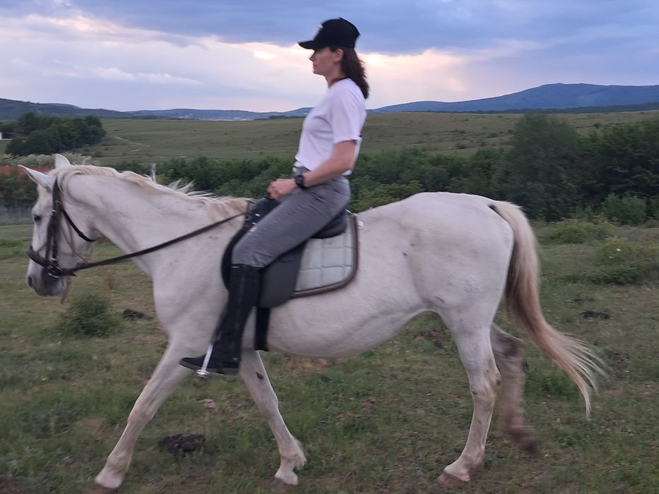 Iapa lipitan spre vânzare