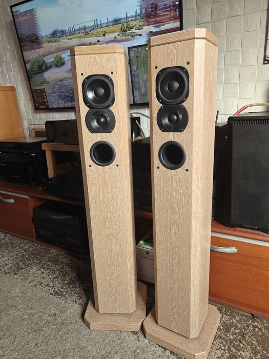 T+A  pulsar tas 1200e ( schimb) boxe podea , super sunet