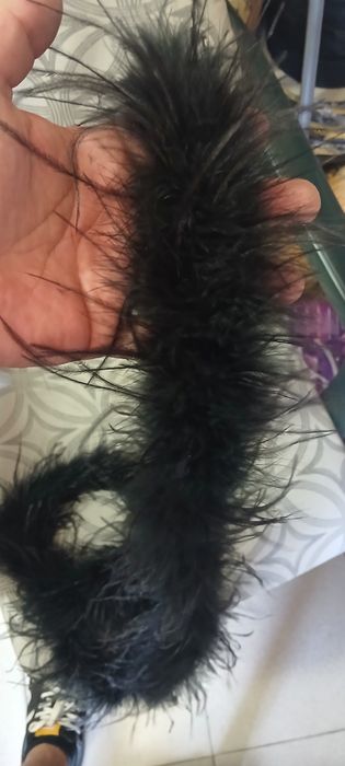 Боа от пера, ширит пера