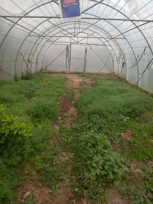 Parnik sotiladi aluminiy