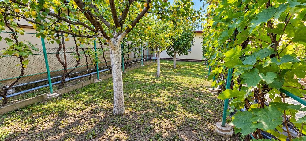 CASĂ INDIVIDUALĂ cu teren 430 MP, Zona Plopi
