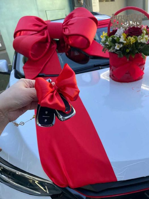 Bantik для машины, aksessuar na mashinu