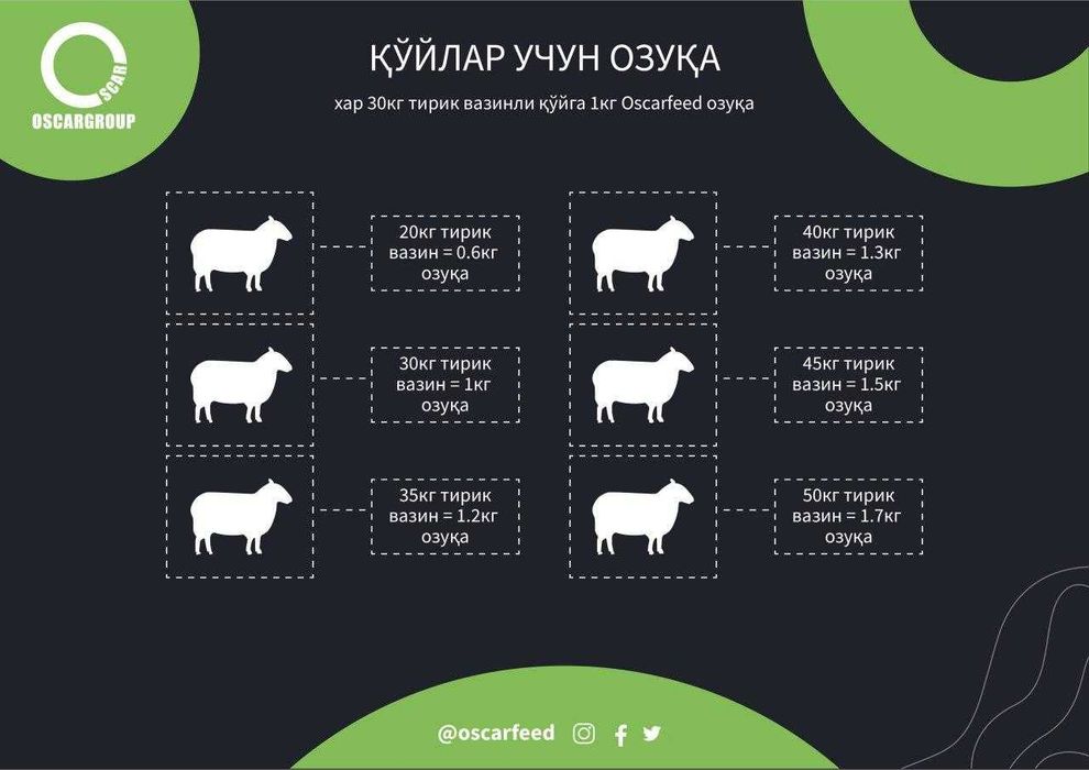 Қўйлар учун махсус ем (комбикорм)