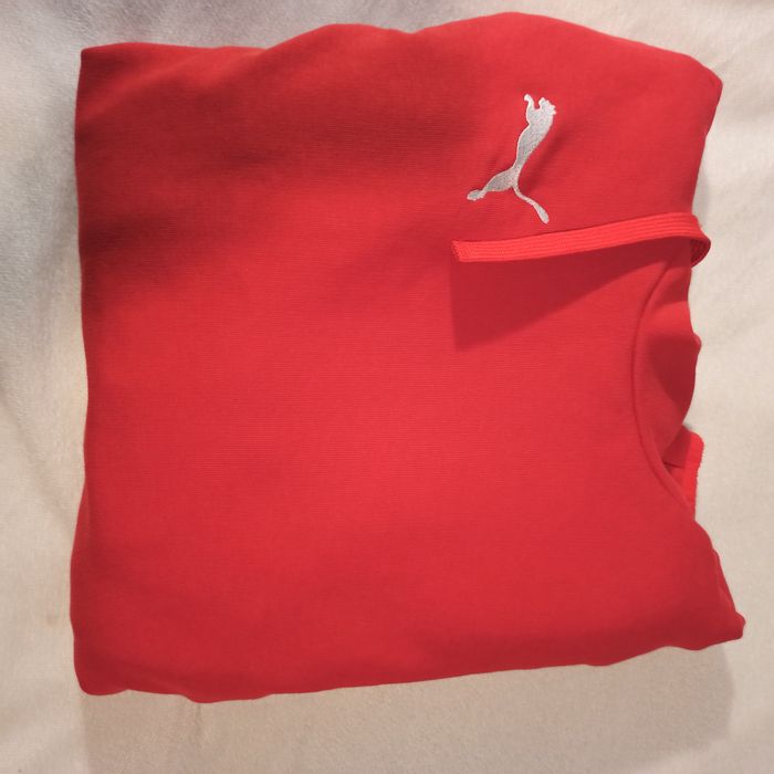 Puma  Red Hoodie