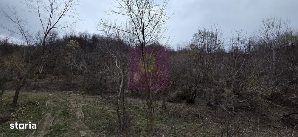 Teren de vanzare in Brebu - Raul Doftana
