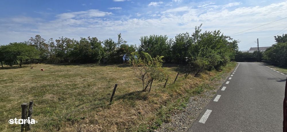Teren intravilan sau padure in Cucorani
