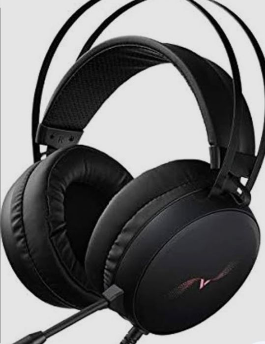 NaushnikVH310 kompyuterga