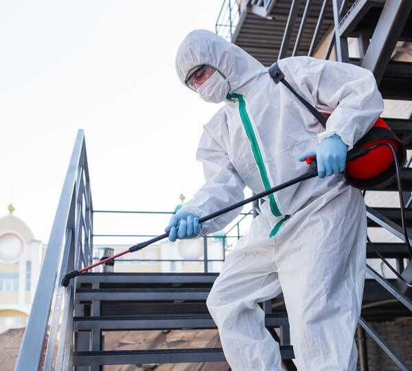 Дезинфекция Dezinfeksiya (Гос.Лицензия) в Ташкенте и Чирчике