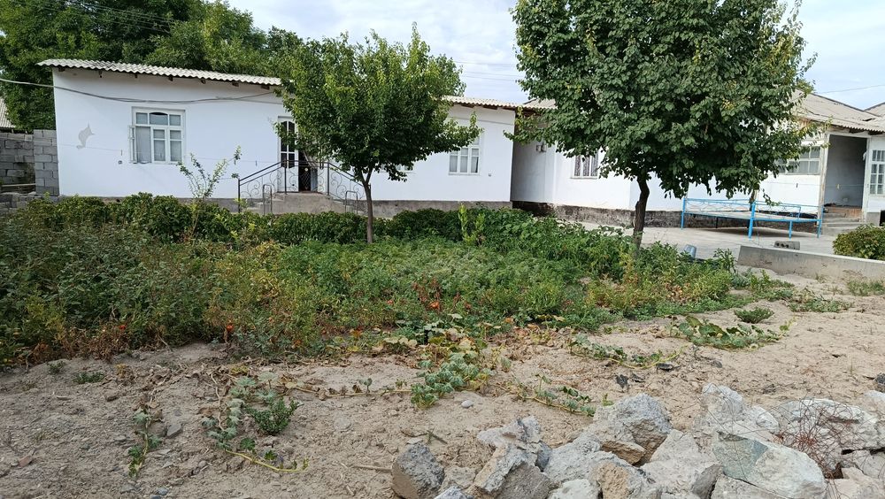 Yangi bozor yaqinida Srochna Sotiladi