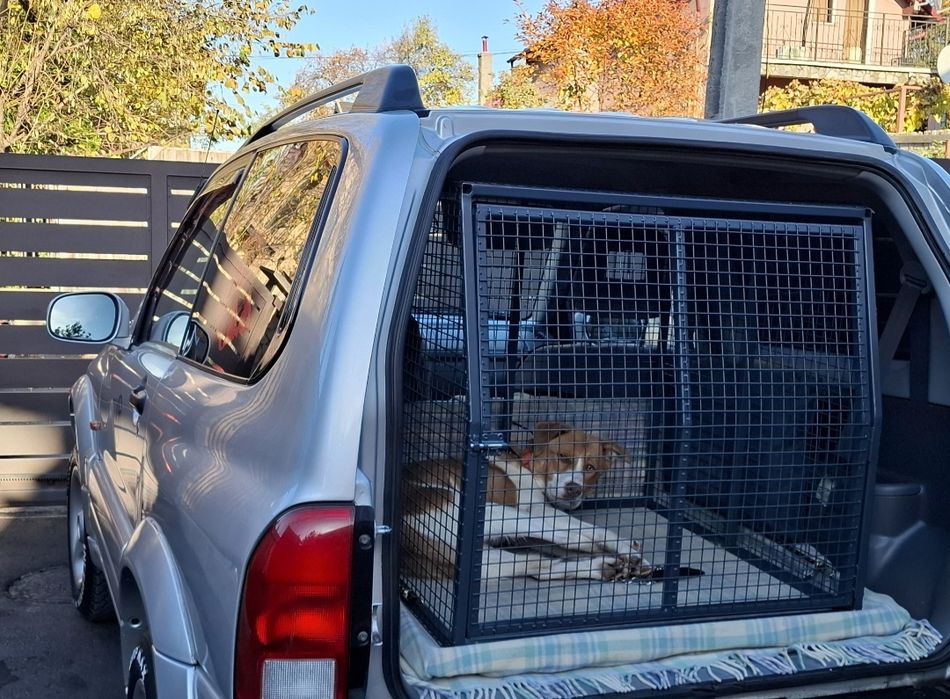 Cușca transport Canin