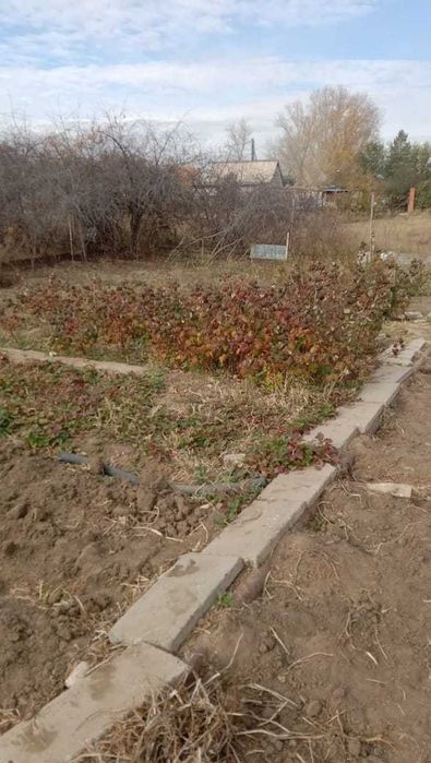 Продам Дачу в с/к Васюки