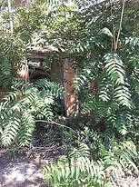 Продава се Къща в с. Дуранкулак, Област Добрич - 84 кв.м за 239 €/кв.м - Снимка #3