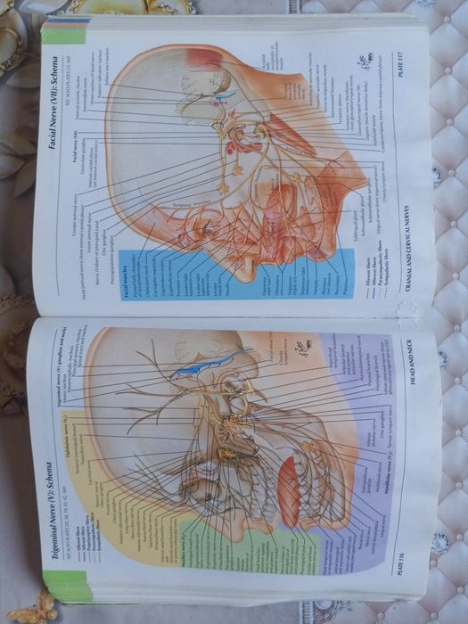 Atlas anatomiyasi sotiladi