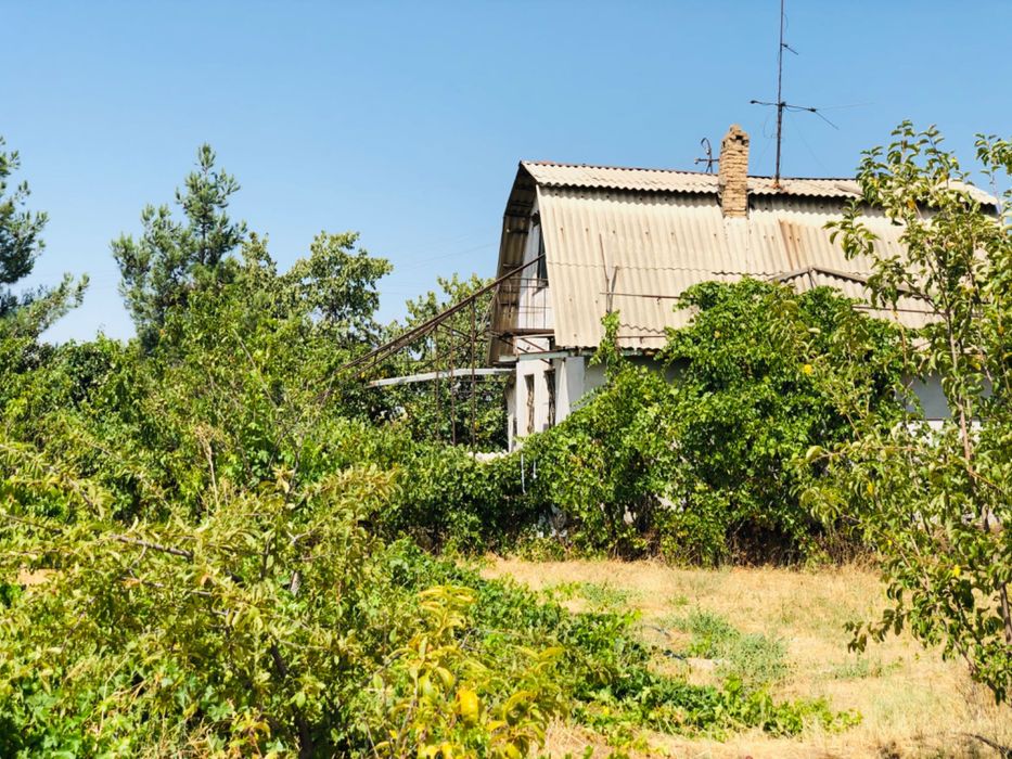 Дача в Пскентском районе!