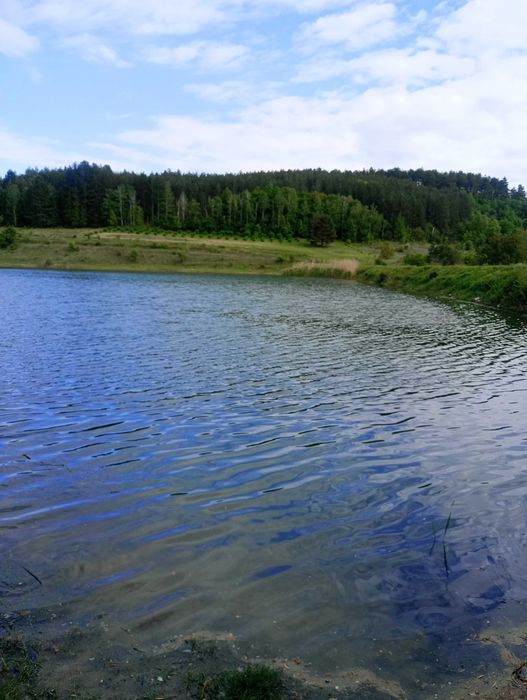 Продава се Къща в с. Невестино, Област Кюстендил - 80 кв.м за 211 €/кв.м - Снимка #7