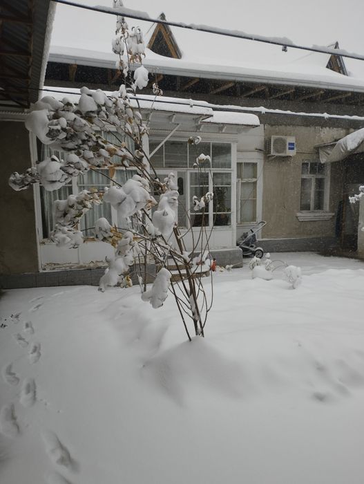 Продается дом на шофайизе.