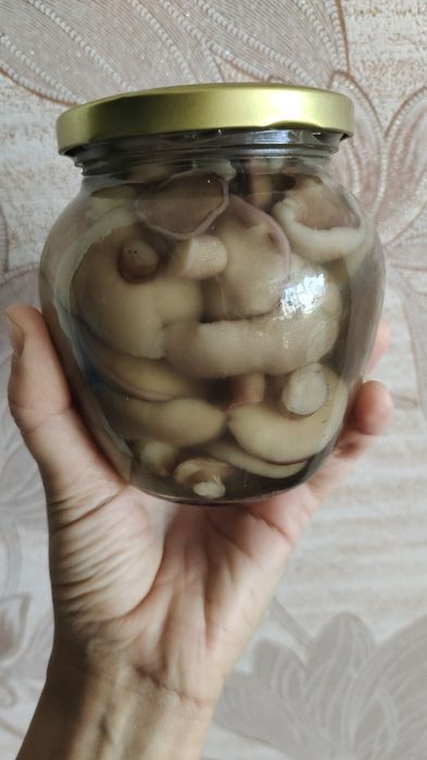 Продам грибы маринованные маслята