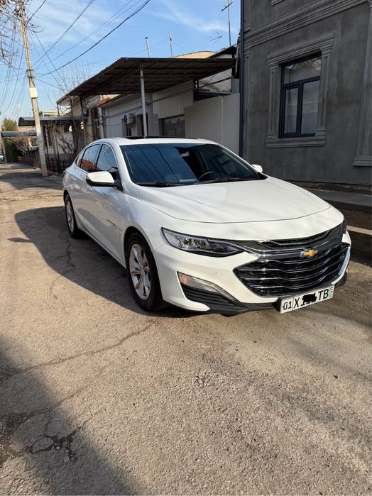 Malibu 2 2/4 polni primer qilingan