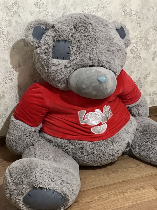 Teddy kotta yangiday