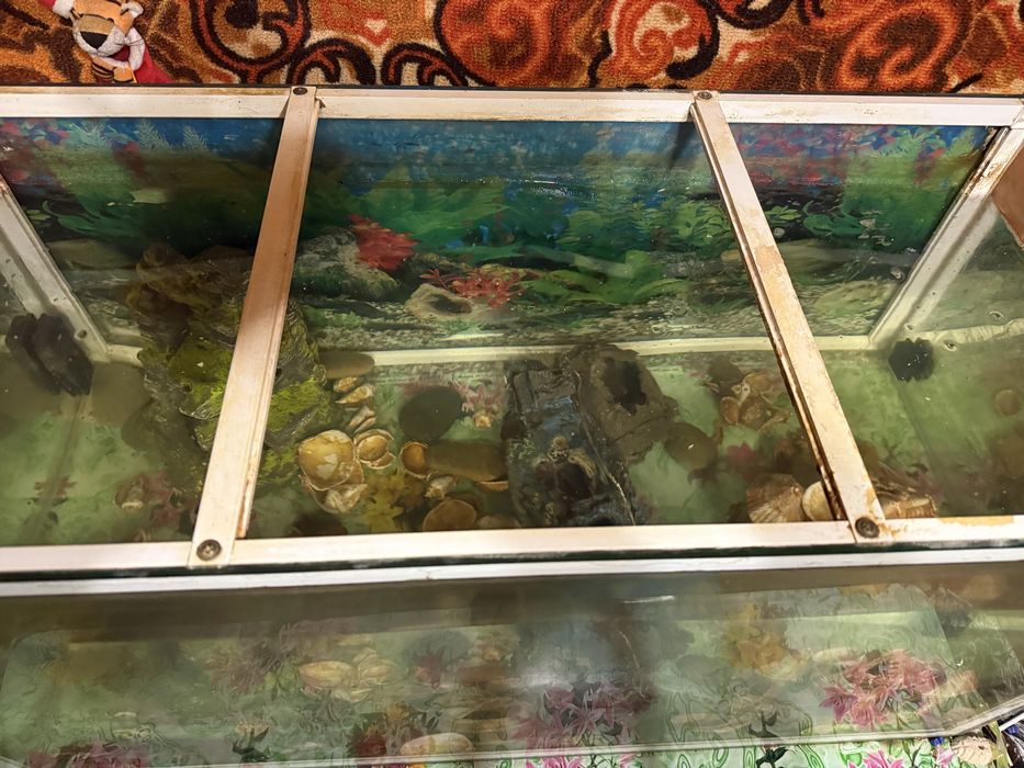 Продам аквариум 155 литров
