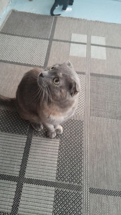 Бассейнде душ қабылдау эротикасы