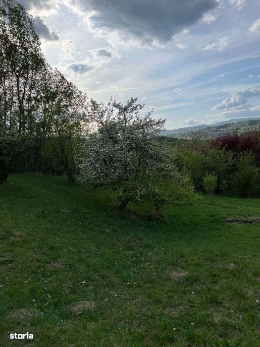 Vand teren intravilan - Breaza Valea Tarsei strada Tudosesti 4300 mp