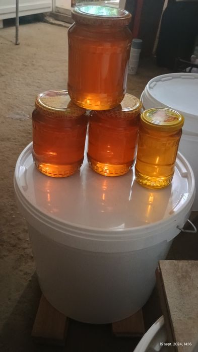 Miere poliflora naturala din stupina propie