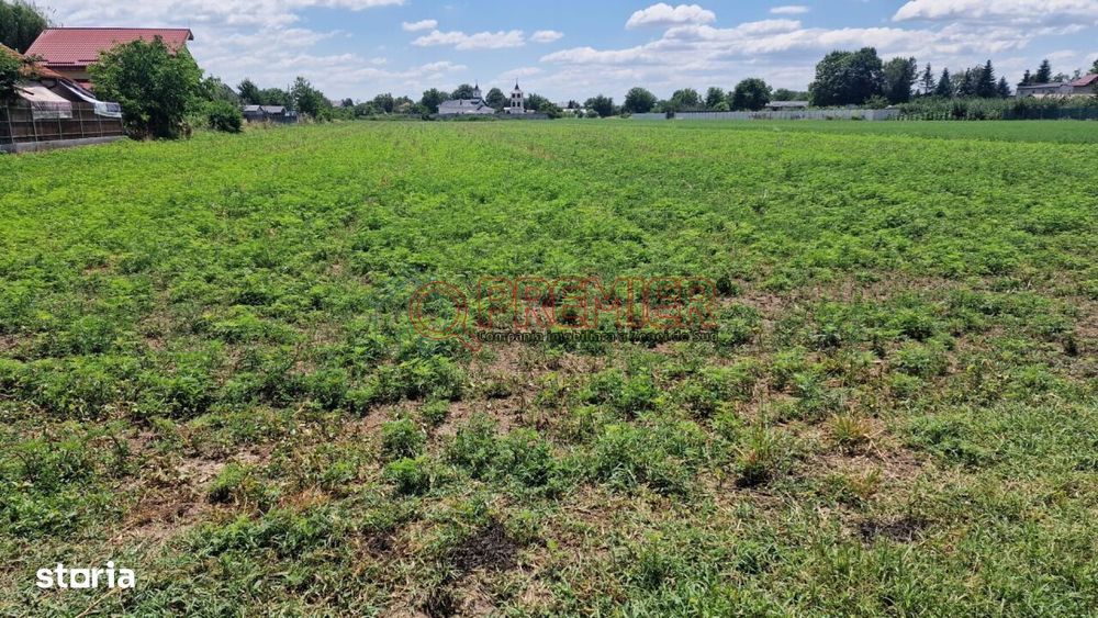 Teren intravilan 9.470 mp – Bolintin-Deal, locație excelentă