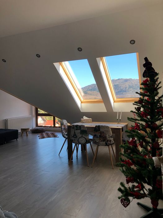 Busteni 2 camere la 30 m de partie