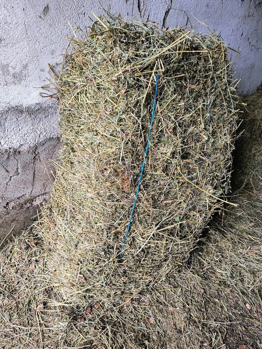 Baloți otavă și lucerna