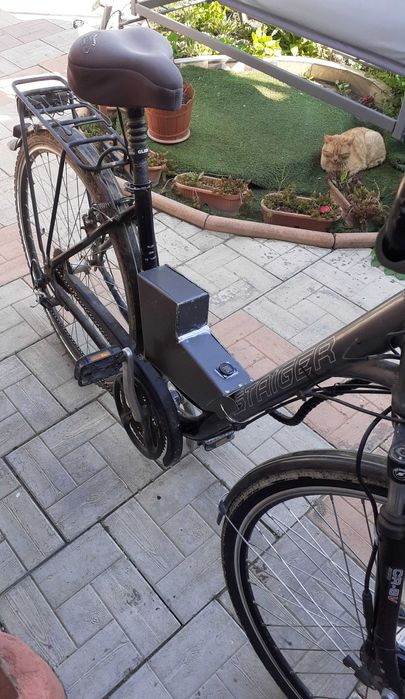 Bicicleta dama electrica