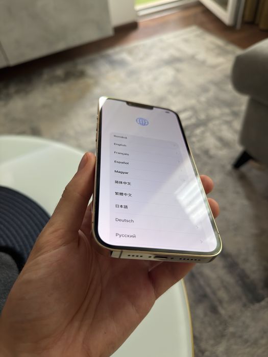 iPhone 13 Pro Max