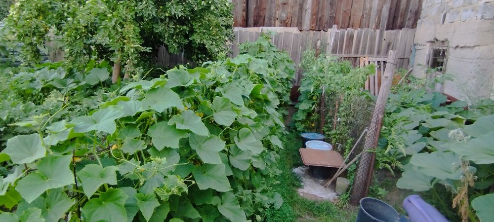 Продам Частный Дом