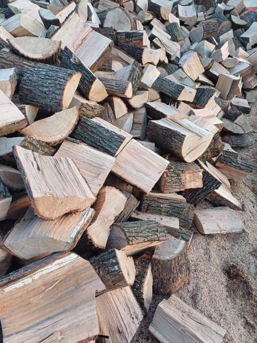Lemn de foc stejar uscat 650 lei tona