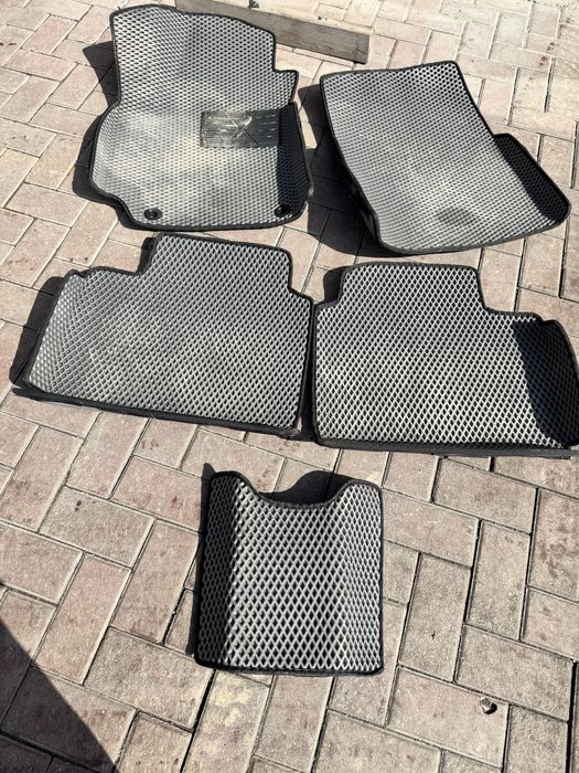 Ева полики Элантра 2023 год