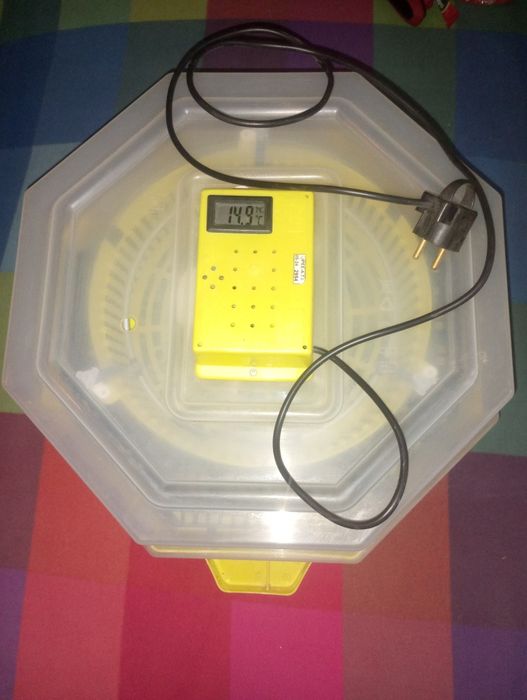 Vând incubator Cleo 5