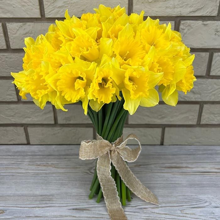БУКЕТ НАРЦИССОВ по выгодным ценам